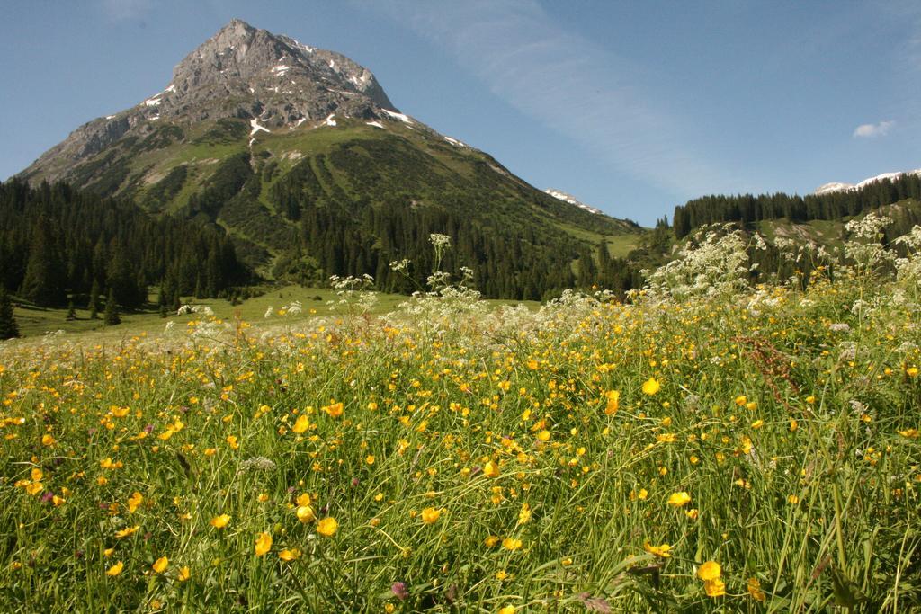 Hotel Garni Laerchenhof 레흐암 아르베르크 외부 사진